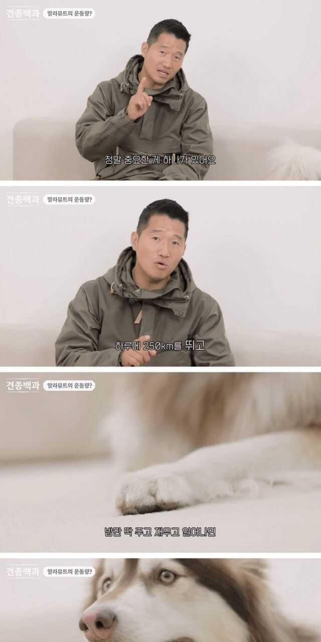 84a358e2183cc57d774d6db30b691ad2ea60190b1cfae02cc1cfb26bcf596ac77434149ba71e178d407143a8757c75f7d256a5a9a339d81500d1e243a1b06f0e