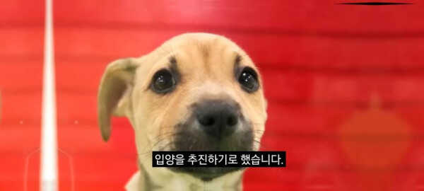 851d20e1f93f754457090609d37e0ac9ddf09c7ccf4c67912f526cbe3e1eea11df4da42c043f93ee8b863886a1de1b3faa85819527948af93c98df98a5286c00