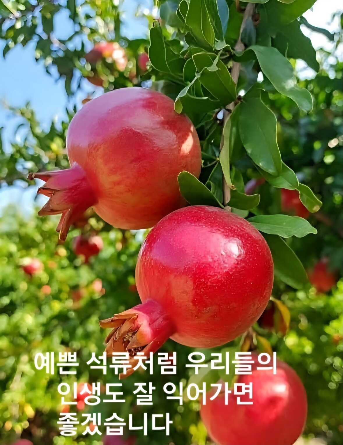 8542ae657ef829184094f868fc4160ee9fdfdba5c4130e9c4f9de2789b58b9d0ebf542605d8db8ce4cba6859fbce1da2fd3022eff7724e8338790866cf9e679c