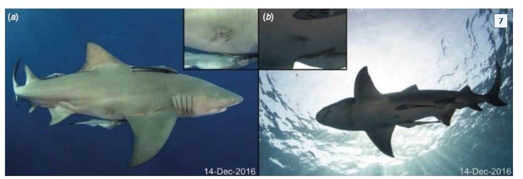 85d62c6401171baffc52cd5170988e14f533ce7e203bd76461b0724a3919ebf76bbec507485a0f40027df687c3294f6d621df78073827558feb6f907050e3383