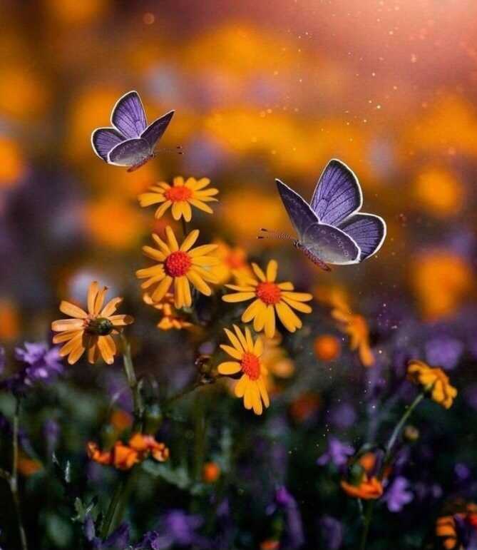 86c1e6f3557e2972b14db7d83ce6a686a58ad7803b66053ff6895e82a36d5433af5f4dda76656cda7361a5303e9230eb5a9c213569a7a7207445357913502894