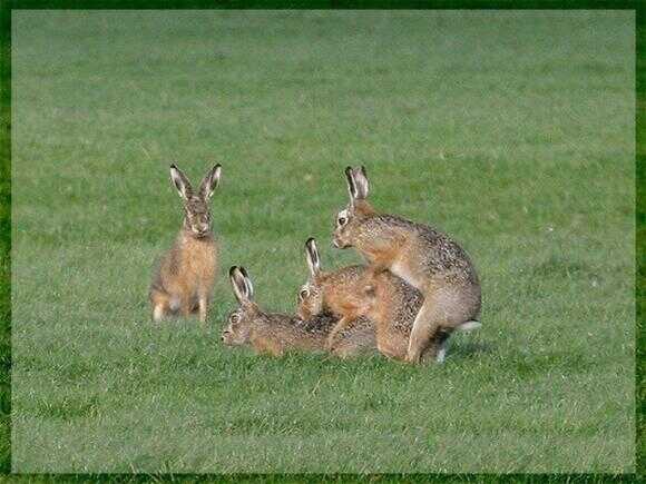 874be3b66f6abb222c1df8f33bdb076a34363a3c0ff25bc201394b06afc1a5589169cee0b4d21b15cb97d0ce41e80d0e6fd5b411c9d561ad89909365935d8c9e