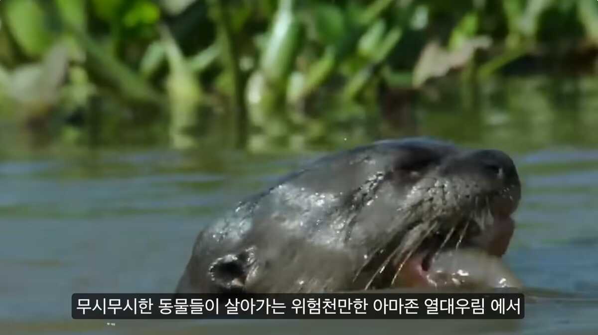 87729761ea460cc983d0a97983e186680f4c2815b550235501fe5cd96631d83e8d5fb593cebc3d8c9484bdd5b7501596510f3be2794a1a1e0d5d4ea7fdef6881