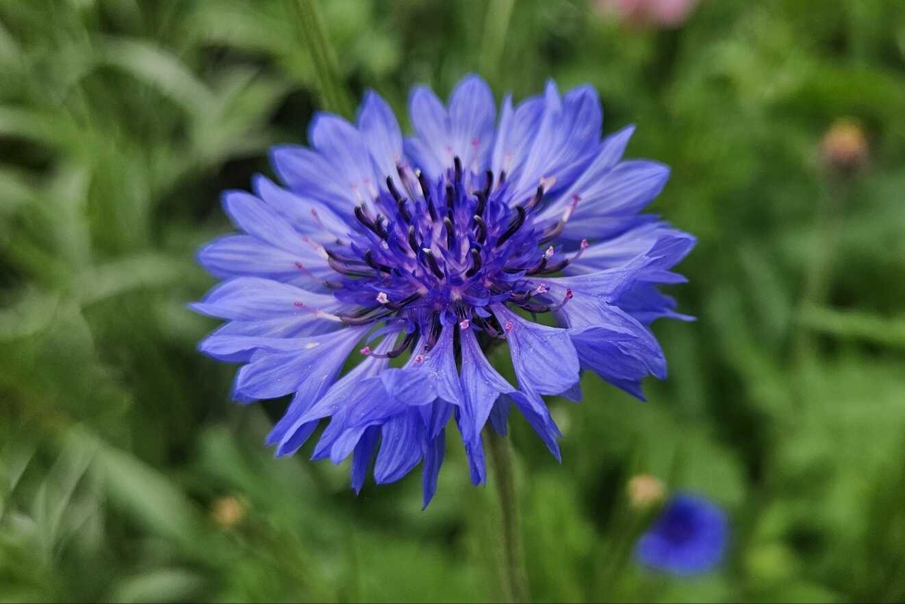 87e3ca467877facdd9801c7c9c91b51170b1510e870a826ad89531f1dfcd14ea7e45465c23e6fcad847a69deb3de2b61c959a6dfa7c4275ac29975241be5b7fc