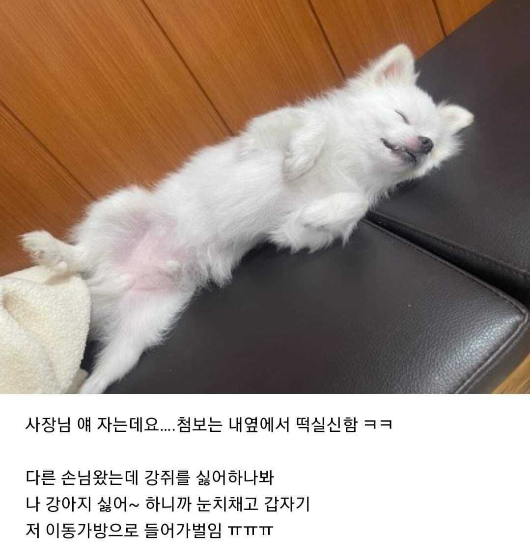 8859cec43838be5ff88f27fc7fac82a9ada722b9045e2d5b822f8ca37524017343338d06c5f20d6cef6ebd2597194a9776f80eaaba8800328f224f43e408767d