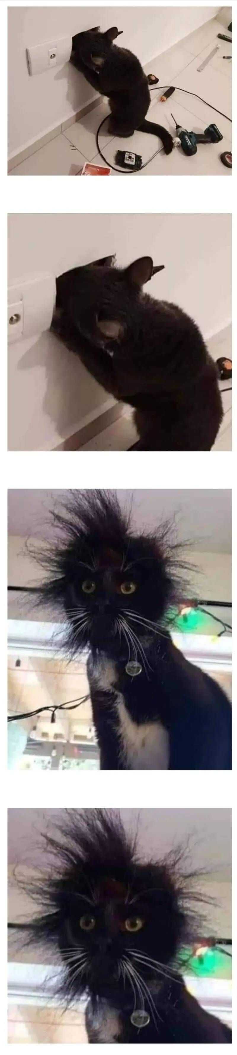 888b6e0c762d8b463d575909a8c0ec173184ac632be64b5140f4ad576c8ae6ff2f3c37cbad1f20108648caae6166b66def8f9e993af3518fe8c897ba50c3f07e