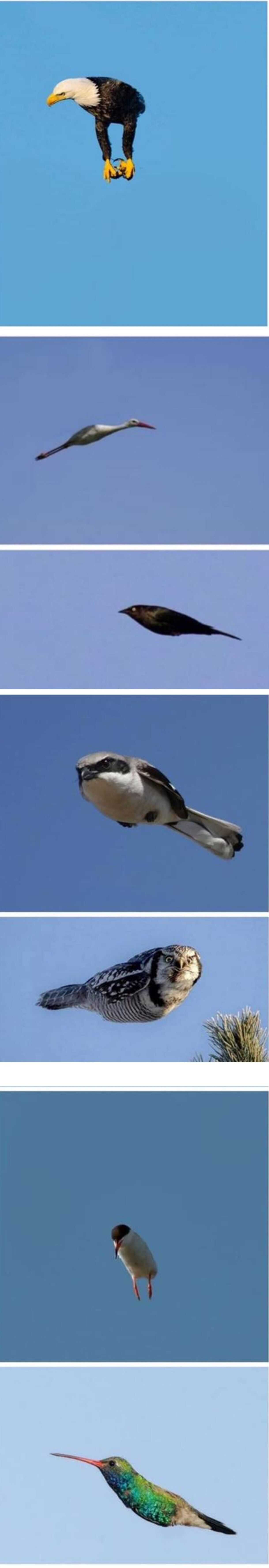 8897f7f6bcef3471ba76676665c71b22ed0160c52b20df295ebb436ac2110ed92a558eaeae399c993d7dd90984bc91c6bf4e8060af1b0f54e06ce76812afb6f5