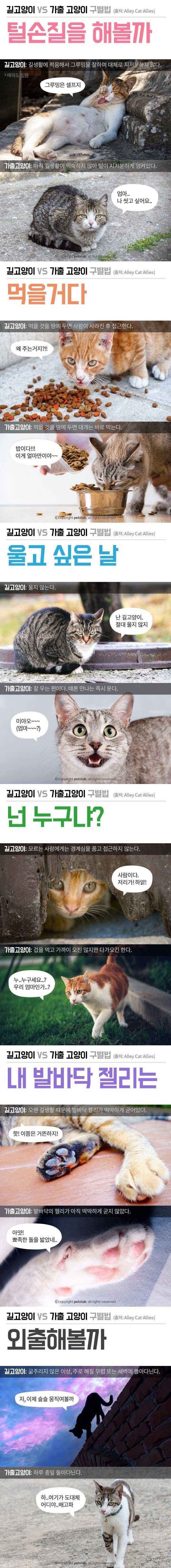 8a74f7138fb62db586544f134fffe8cd6deedaf646674fed6f2695973baa68dad8089ddf68fa2df4b1dc8aa86e63db0c1293a17e5b756a119489bd4f5fcc75b7