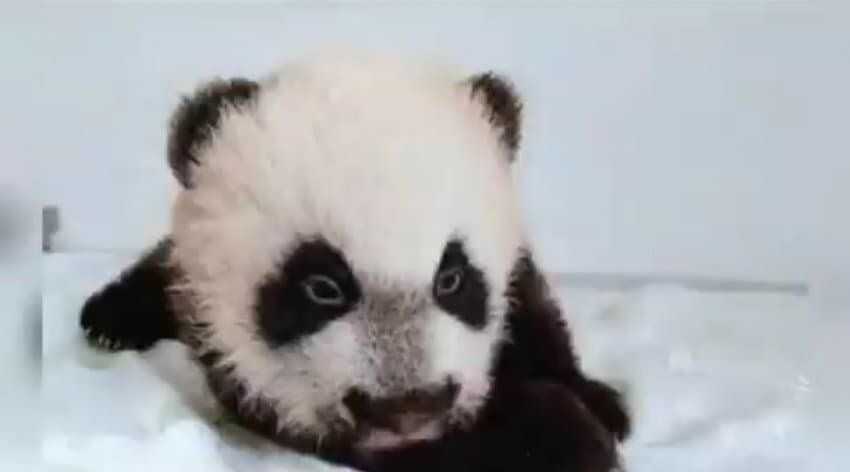 8ac906d158ebac54a4b18e529a2b0ffbc407fab1107b674182d2678fe49e9e26234ef81eda7ef65109f81791d858883441a8daac92ecdb87183efefcf79b4d8b