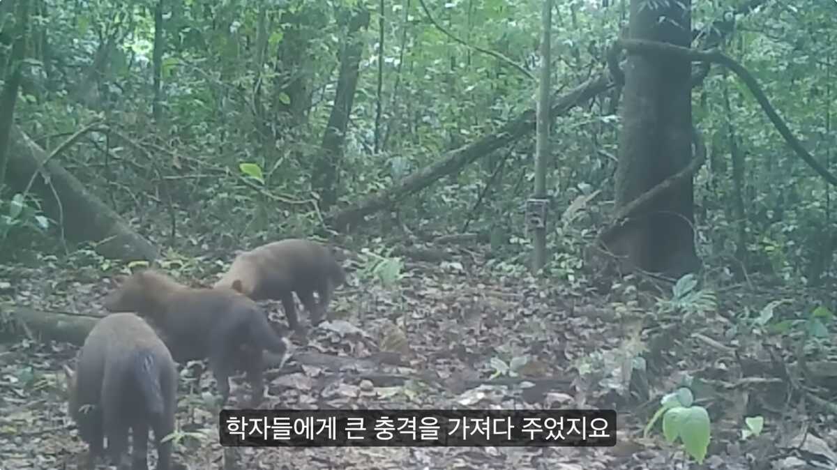 8af8ec9367bb914ca9a11a02ca16dcf001010e66f56b39db2d38a7fe625ebd213c09665a2595803bea0d2797c46ca85dd5591afee23e1c162fd7c39494fc16ec