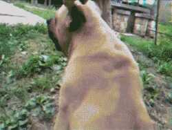 8ba507c0716500c605d9a8226e771e621d066b7ab1da3608b8a1437b40c3c85421303573ed10492ab3cf02debef6925895459739a7e6f5d5eae0e0f43f7e89e0