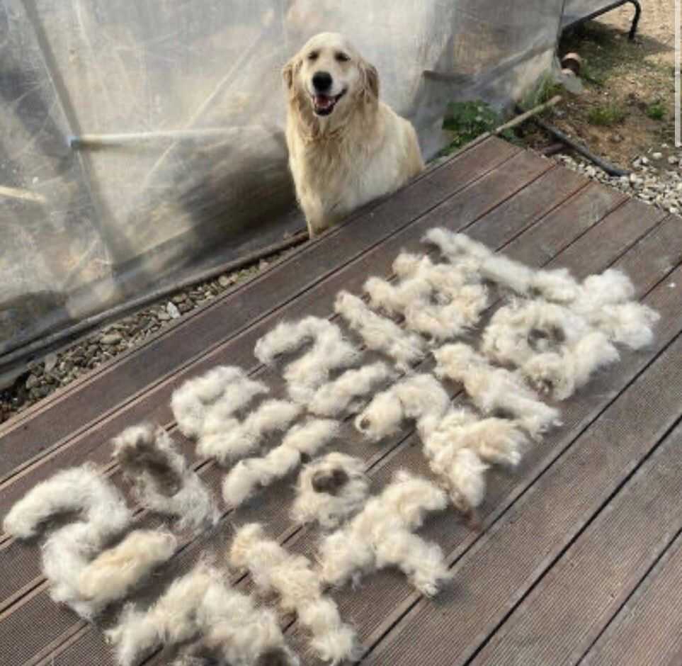 8bbf1c6dbc45c95d3a83f2fe8ba83754d4d1813ee6b870bd2e57ca0768fd80c87043c2854d7495c2c9d9d0449450f988dccec54a6852b2fcdf083952ef841489