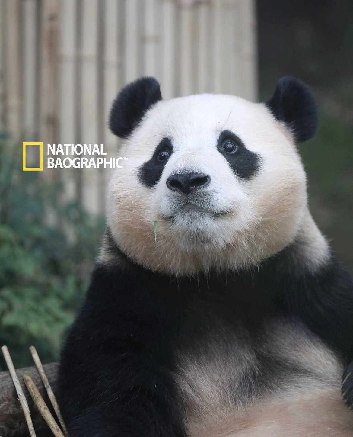 8c4f88970610a0db2159e3a871784390f854c105382429d2519df66e8d000b36beecb3bff977d83f21e413745467523c971ebc1f11e3593d6e0436c7c539dc39