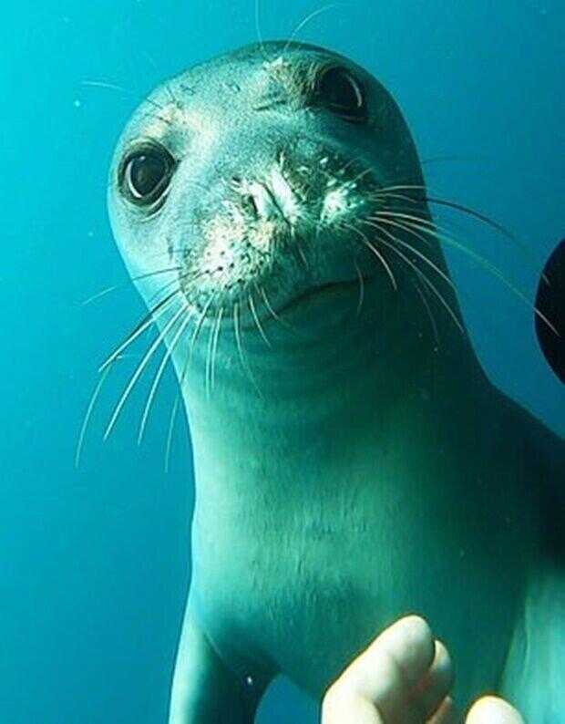 8ccc268b6a578e4220aae7eeea99a1041d66947d1aac7ff571eb366f569de701f095b10e3d7cf81104846e38a00b873ec412738251317cb69ff91aed20412fcb