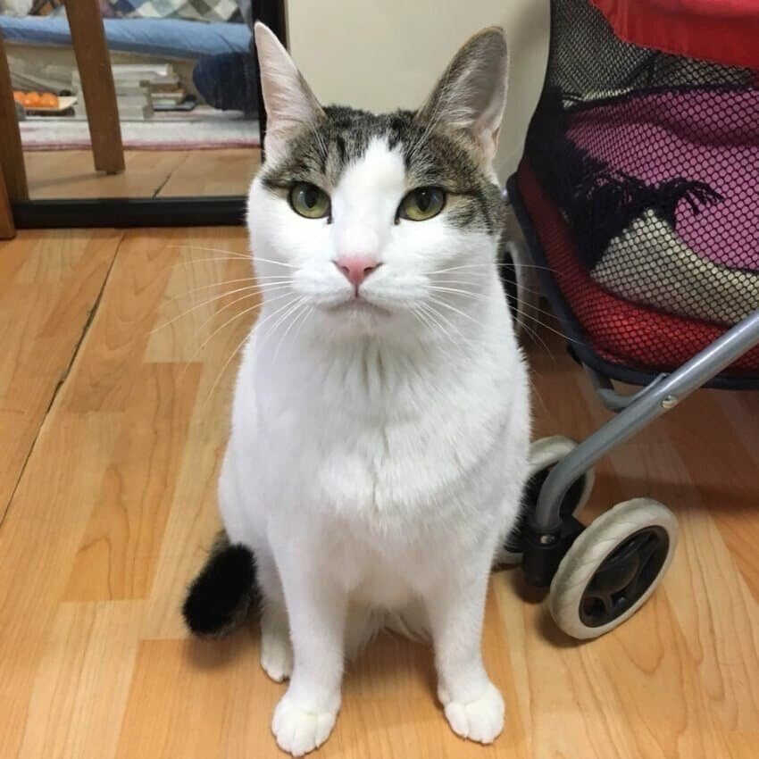 8d011d17bb341278a948baaebdfba82bca99755f6ec81f0c3fe34042056045ea6e675f8ceda81c5bd4b95a682ec4807841282195ace2ceb1cdd7d858a92fe69e