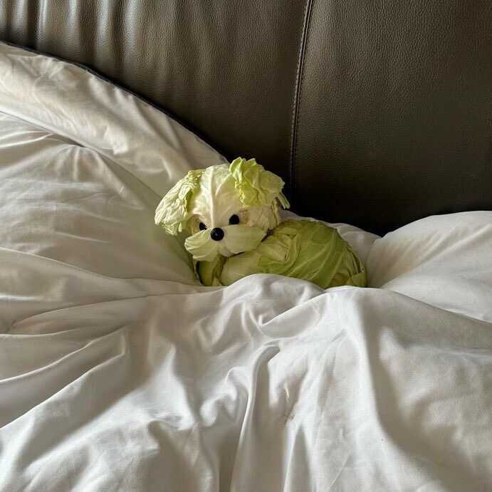 8d1c3ba99e31a315d25e9359bc147b2bd5e93b1b36a96c70f86f420ce21aed7efac7996592415b88ed35c889f33f2bfcca515b3a1bc3dd978f457d8aa163bff6