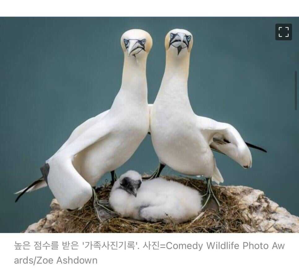 8e08651cad33624ecdaaf380362966f2a195a72cc41cafcb743393b9b7b2d6e0f6b61cfd612eaa52cc5fcbbfc5050b8e4c2474efde9633e28e793b033c29fa74