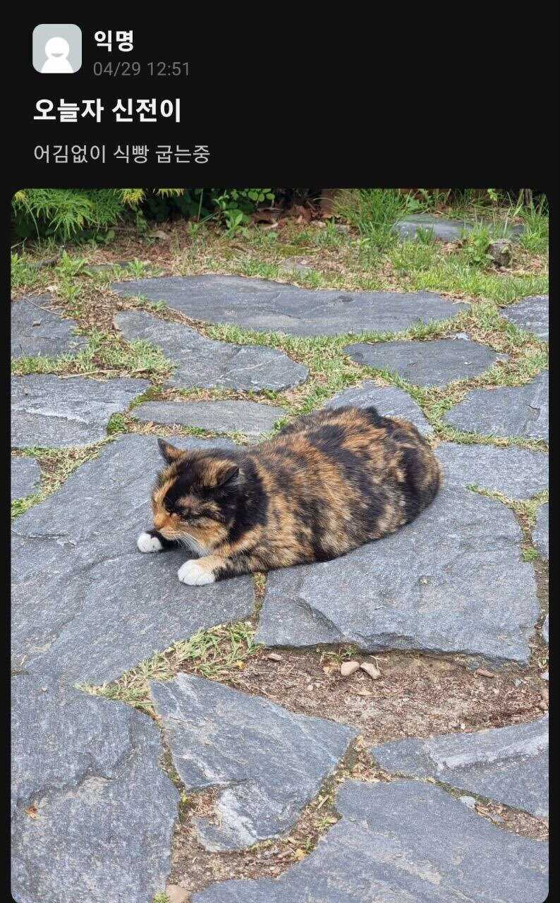 906f9a86986be438dbfa792ab44473d85730002ea4a4f7380c91fe1f12e0b82cf501e3aa8e5680ac57d9dcbbf927feba2850aa846afaa2c37da1e0cd8f7721dc