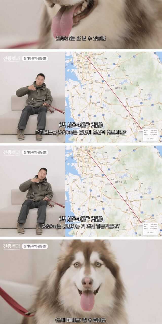 909a0f94418be9227d8ff0a4fbe5c3fe2c561fa6cfc90baeb0570eb6304e85974bcad3c4e26189f7e1ae7e03b27c7a16b9984547dfa579bb7c4285a19be8f00f