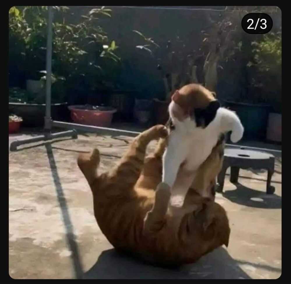 90bc7294ca0b723f42eacd0620d91c0f303869459c05aa9a57149a5d58bfad743dd24d2dfeddb82a6dbc6473f4db628e2b39dc088a8a09b9829338d8561399fe