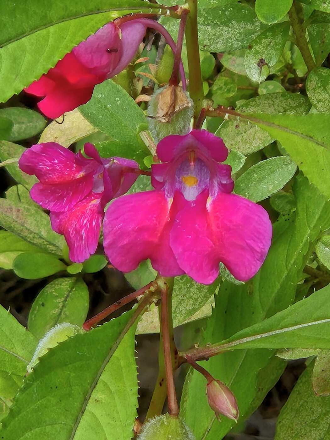 90cb197b2318107af1c637c8d241899980cf5f2ee7ec8eb16e02a812cded0609cc645e18fd54cdb8572436a8d1bba85ca7581b35c63b244fbdf399f210fe6c09