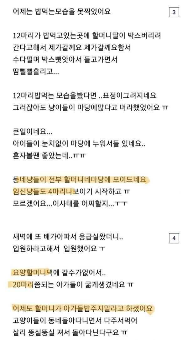 91a49aa43ca4fa1c3f6da7cf08a48e4ca6e67e57af0655369a8adbd7037d9cb67287ea2dec82bd70e66ff59666404cbf540bead82389560535db5d8c7f52ed4c