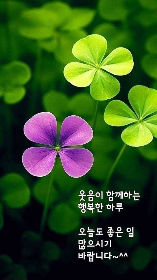 921e12b894d2564823601231b7fcdfd62919b728a7f58de09b2e47efd5b56b138e28ec8d360d7ad4114198a703b1fdee8c3c4e449f2fe1a869b4ed7a2b71916c