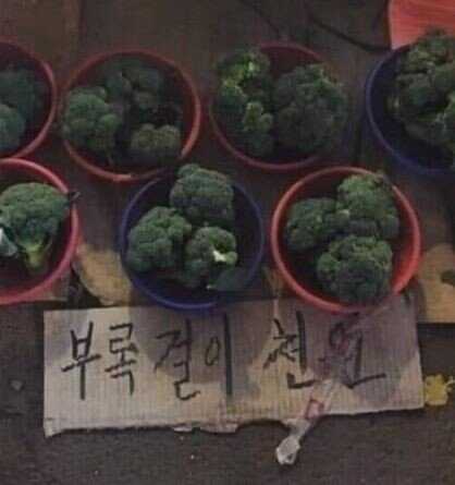 92f7cbad3b0ee42c182a4b9a3bee93520adfa091dcb2bd51eabf424d229e86141402f3db6e21cc8c606a9c09e26ca5100888a09794491c3e1903d497983c73ed