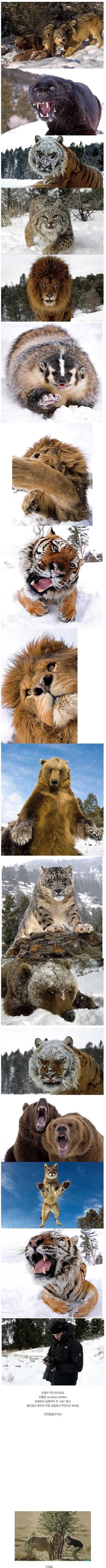 93db5e513616bd180be737a958085f100fc3acf2837d1f19be450988d2965cf671d995d2e67d2925d3f907accec1e52cad46d30d1940cbe6e5b6703fad10893a