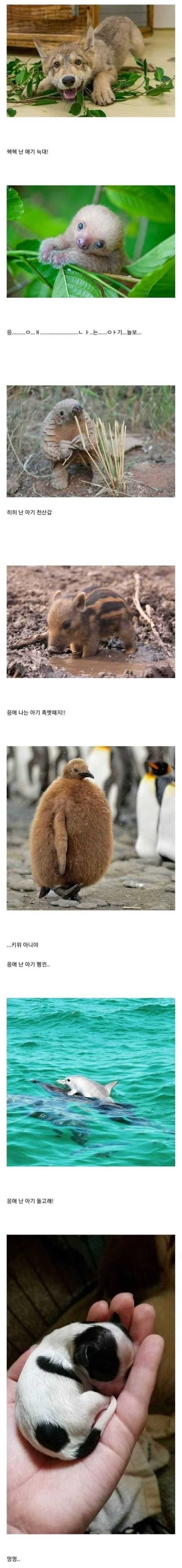 946752e8f8c4517569a62e0cfae080c8a218d93c4d2c222b2b2de04b049142e1e5fff3848272803cd497c6e7c852f1e5823bba400278acbd66ae955233221954