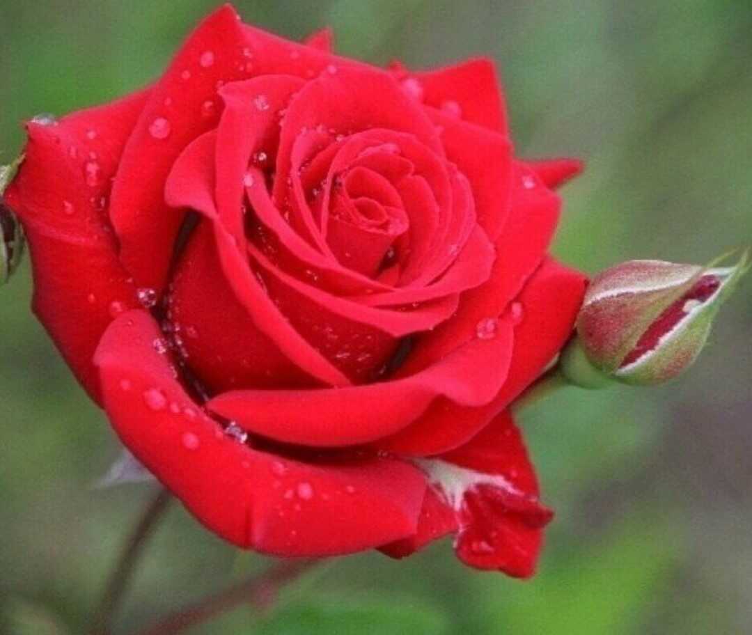 94aa1eecaa7f35a89c226311020291d1218be894b6da6c6deb5bec7eecf1993eb822e1ecb426a0c906d396a9ae1d81c02d28814448262a884b4e8bd13dedd5ad