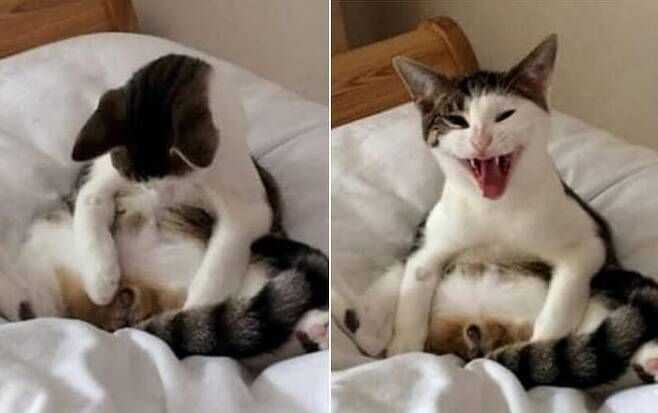 94aa6701363f8a2c6c7cd846cd5d7d206c0978b0fb5fc21d66d67b14d09e82bdc5a560724d3e3e0ffc90e0eacff2fc7e0a7da84e88435fb23a40c2fa3175e2b1