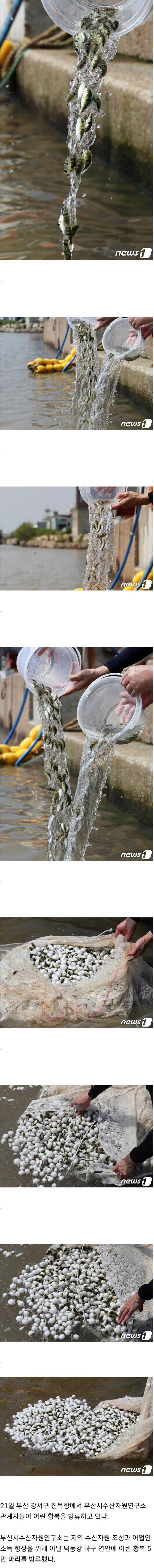 94d8d8b34d93a442aa24a83210b836e8532240c1a67bcaaa2c7db3bf242ba3062adce5f51292c9351c1a2a308f11145a623d8dfa6714cf9c5106553b75e7fc42