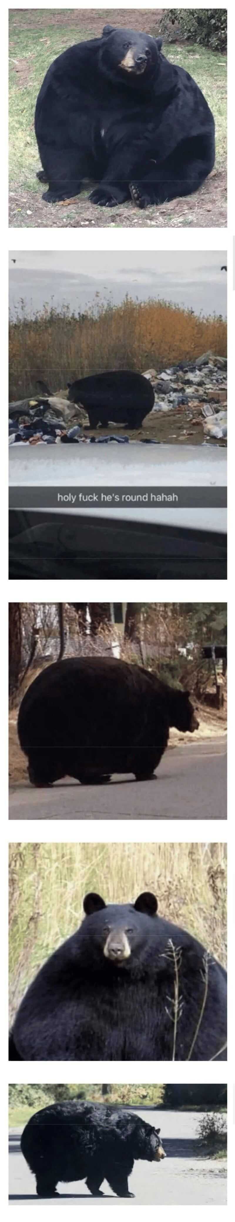 9563c0e91993392165ac3f5a1e8a80e31fc9b49dc7c3f50a8e79fabd4c793d4d4e6e28bedaf0a4e0843a38dbfa176e5800c33a80e0cd083f97e4a6350ebe2192