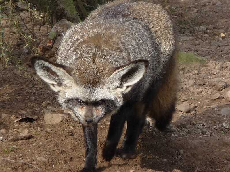 95fa483cafb51f2fd6a25ae574c602776f3df9945afe362f7d5f0ecca462fc2b43d3ea11465cbd56485f87c2d970bfb9f3ee3bb956572e1561314427273fdcce