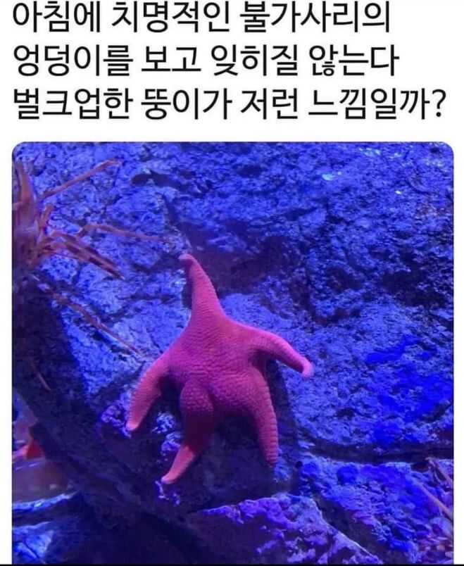 9604a7c84e8a86b5383abb9547895caee4e3141305e0bafd0edf428f179c9a73b59e637102da8cd355ed7a84e7396b873e52f1a8fe5bf6cd35fcf3c414a48c66