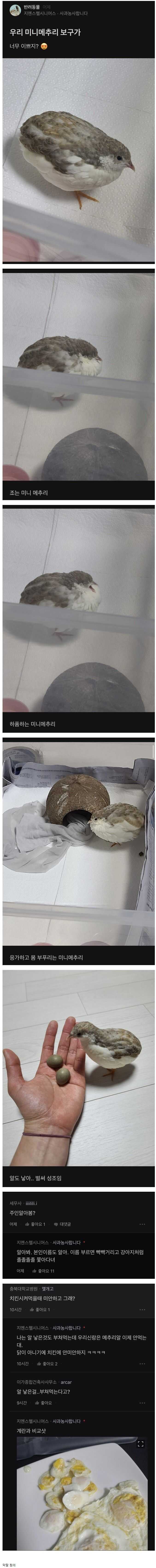 964b7ea7da967ceedf11da50ca39082fc16874820d2c83a50da8073dee08e069b223976eaa21930ae0aa98881e19ffa8379156a370c195a3f07694b97a96485e