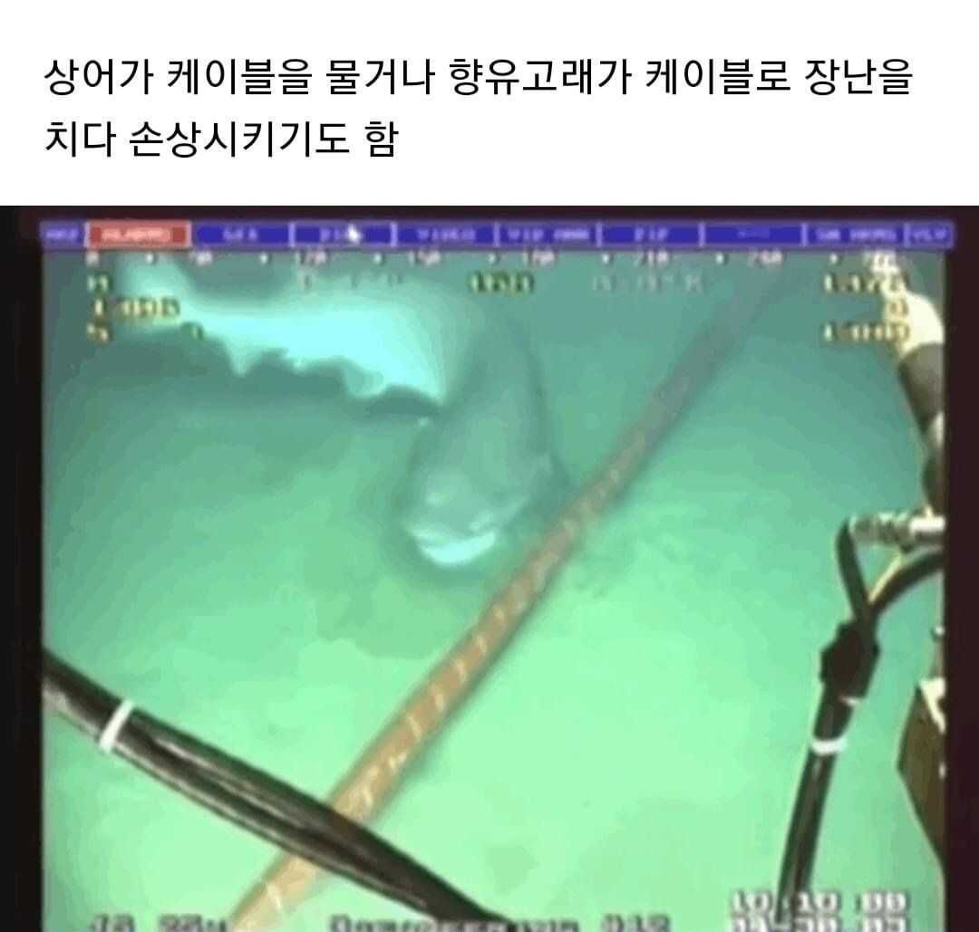 안 믿는 사람이 많다는 해저 케이블