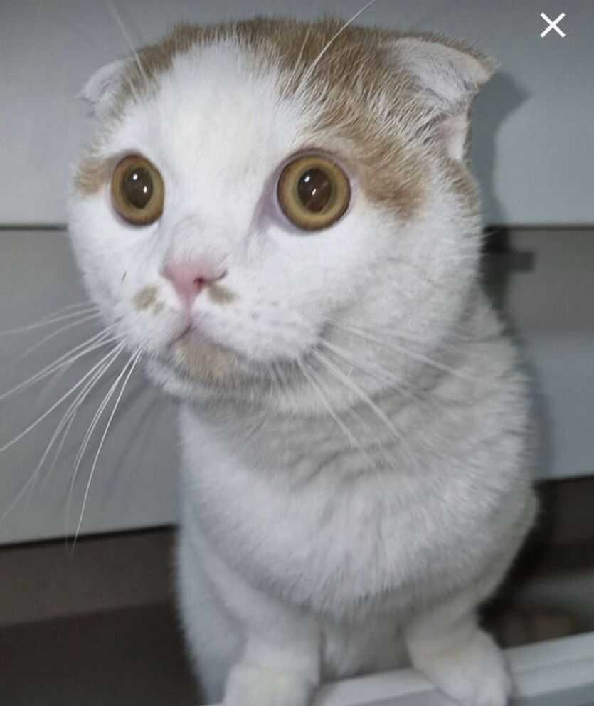 96e992377989a23633091192a80a790557aa7d60c629daf436e1c3df2062baf51adb972e5e98cb84eed39821b836ac088665c56296cf6cf3c8851d4d1ff956cb