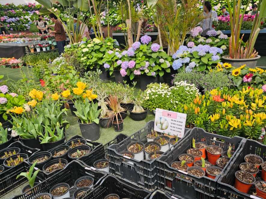 97cef5860eea5e1644a537df6921b9e1ca4946696d3374e96bd540fe739176ca3a3493143652e3000460145134e514653622989c1b84f77ad1fd10daca3b9c95