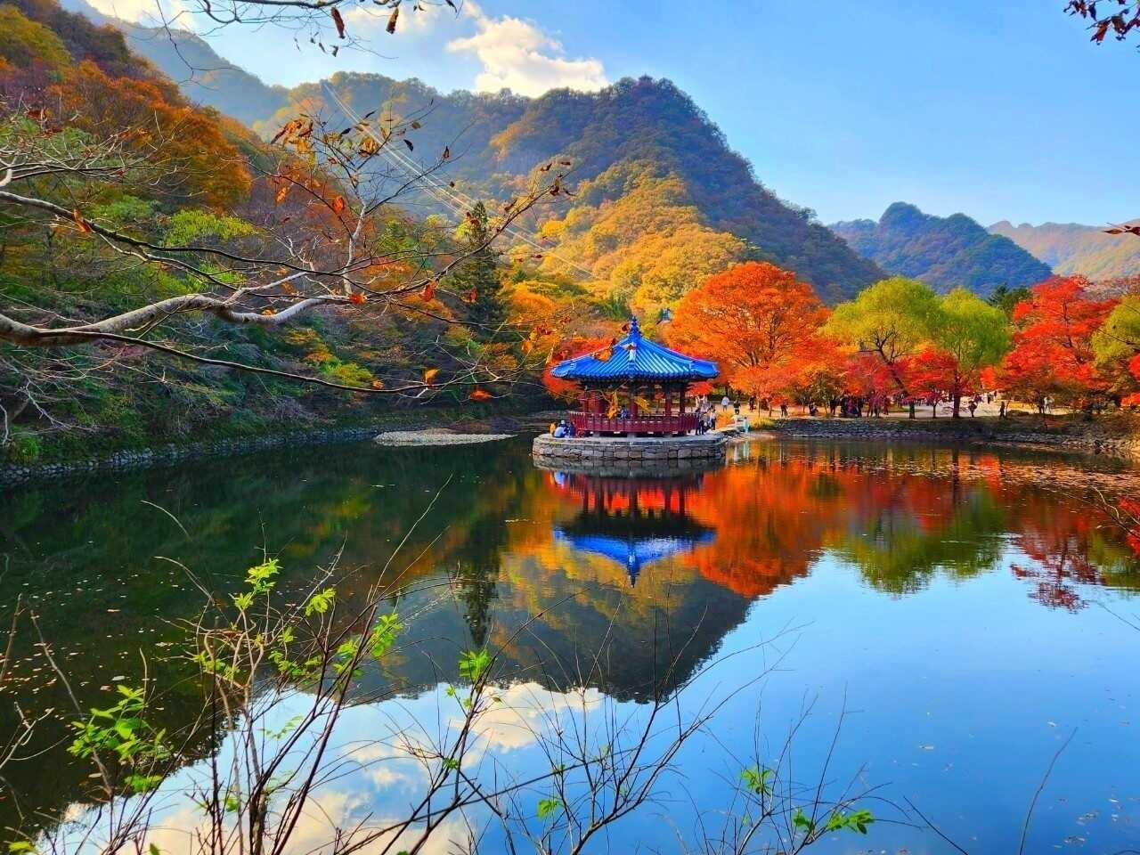 97e352fbb09ab88effa585373fe0930468af118d582cb8bd91a7c6bb9b54833ba0a1c78348bac62a7e100ea0946d0624de58a21e83890bede7a3f412eadabe38