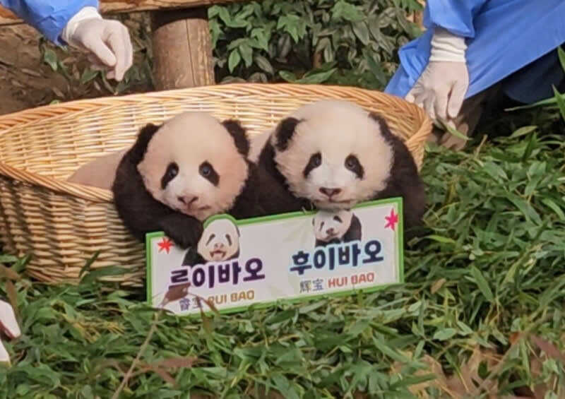 98586087d570982f665a2e74ff8f30614258bc3a5198b2f37d9c96ecb69655a1ec795b39a478c6ce63b7cbc05b706edca6dbdbe435029a90f4a7677a2f63b5c5