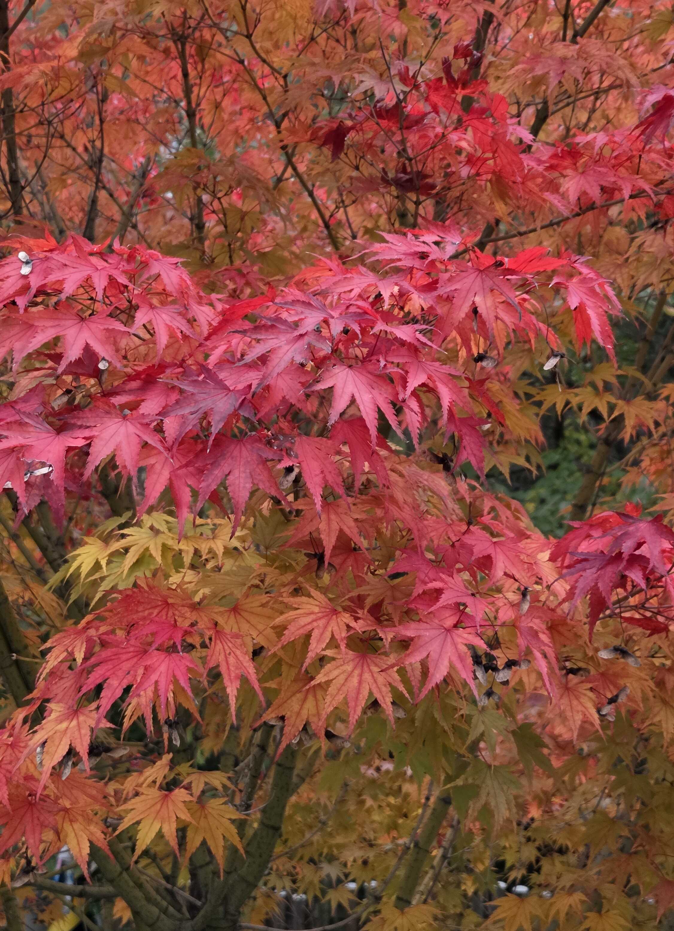 98701029128137ec2317bb5c487f9920407f29b8d1be3e086dd97b812e1ca1ec26713a92dd295bbd13fd218c689979e19052b8dabd3b53eb62ccf46e2e12435c