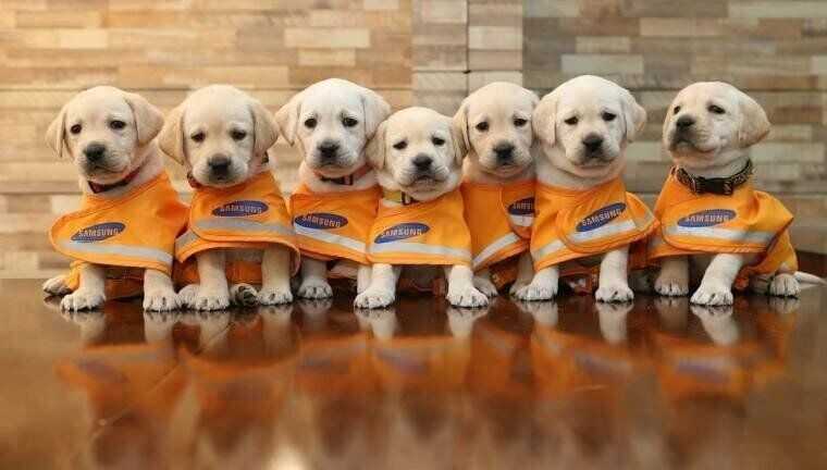 98868eecced0859c23f220b1f198465282e3670cbc260ffae93f66b7b642aba7785b68b85e8224bdb836f896db11d80392e89ddc27daba4baa0828c80511481f