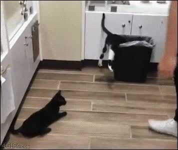 99b9e65f96941e67fe07248f1bb39f0861ba42288af0d4b5fef1b2701358f4e78317c706b23884e49f7dd95e4943da064a30a950091556095bc6cd100ae65765