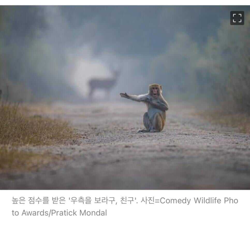 99c13d8b05d438c48d255bdc6502470e06e6576efa0be790c5f0517866019886be8780d7622b4869de54a13167cb4838ddc5583a0312fe91d38f4dfda7a44fc1