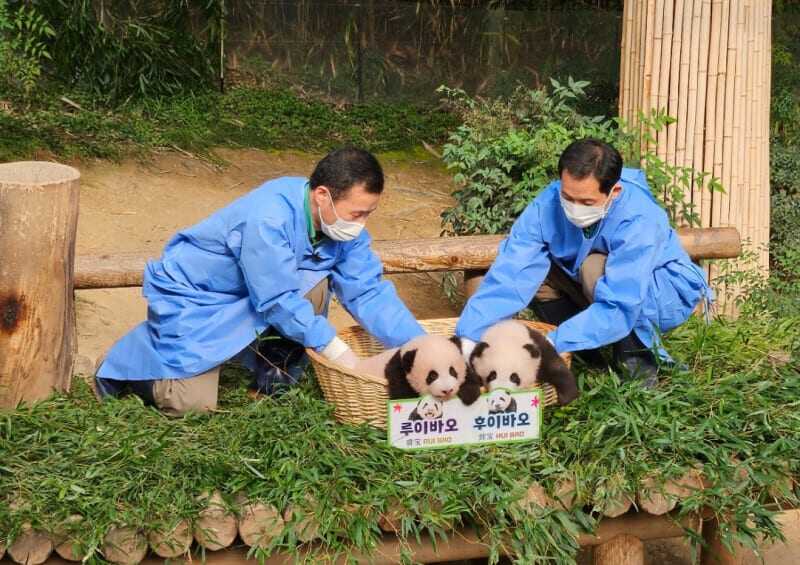 99d43abb292f4eac10aaaad3f0530bfe3ba5ecf85b1ac2db1ca7755fb25e0f45228efd50b59ebba27d38255b29669a825235e0b35f2596d27fef9d0878d06a2e