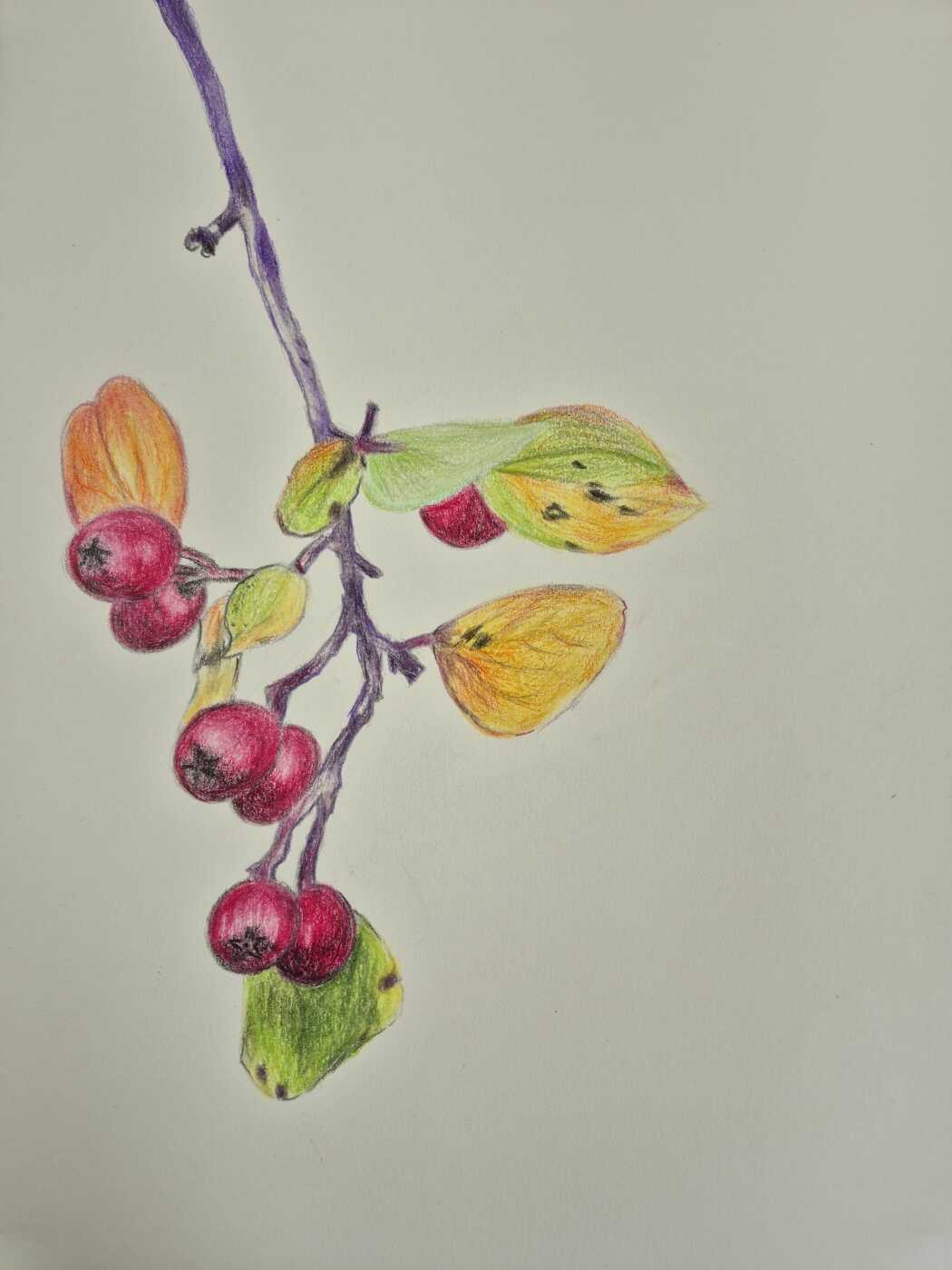 9a78aceb7b371a8f0bbb9a39b0df2bf23cf64c318477cdc37e2df8b03b366632e116341f8edff69bc226e5836ec55e101c2bfaec4c42d1bab6e5298ef1d5371b