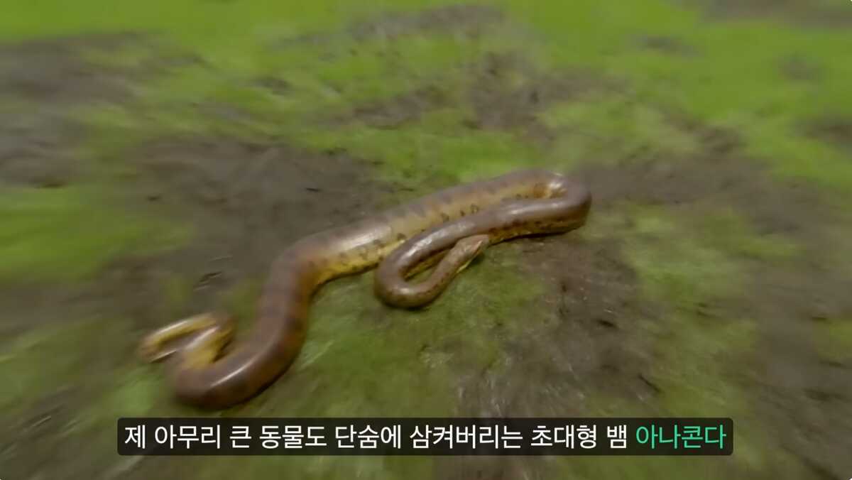 9b63fc358dc819b054f9671954e94e0f43b4d21a810f2f71a1c5095fb02f2e4a99522bbf68eb79afc32f4c72c13f840df1ba3f468ce49dd563a704d472c983a3