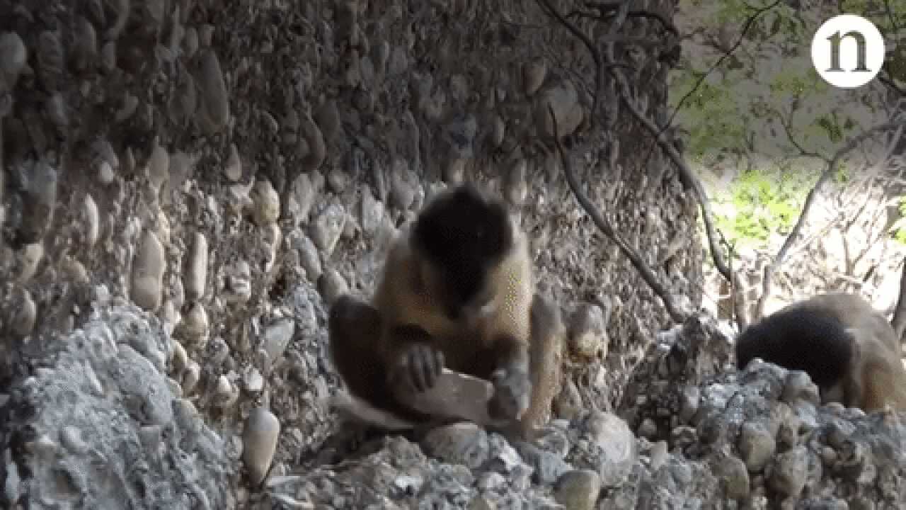 9bde69ca7bfabbf5ac95f1ca7d969ad127a616368050c5cd177e56e686902cac2cab8f55acbd0817ad990fb9768be9a3006f2421297ed3995577ec4d0c631e65